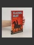 Karel May: První německá pop-hvězda - náhled