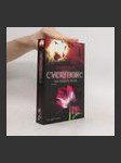 Evermore: Das dunkle Feuer - náhled
