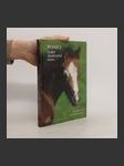 Poníci – český sportovní pony - náhled