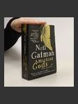 American gods - náhled