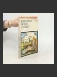 Královská dcera z Erinu - náhled