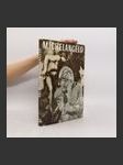 Michelangelo - náhled