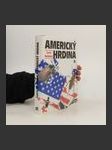 Americký hrdina - náhled