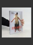 Dotek anděla - náhled