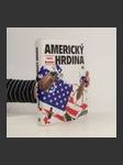 Americký hrdina - náhled