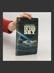 Survival in the Sky - náhled