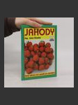 Jahody - náhled