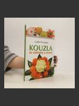 Kouzla ze zeleniny a ovoce - náhled