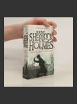Young Sherlock Holmes 1 - náhled