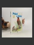 Ptáci v zoo: Cizokrajní opeřenci a jejich mláďata - náhled