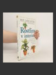 Rostliny v interiéru - náhled
