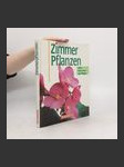 Zimmer Pflanzen - náhled