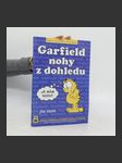Garfield: nohy z dohledu - náhled