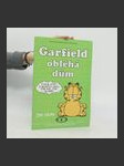 Garfield obléhá dům - náhled