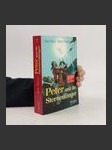 Peter und die Sternenfänger - náhled