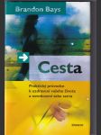 Cesta (Praktický průvodce k uzdravení vašeho života a osvobození sebe sama) - náhled