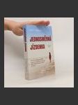 Jednosměrná jízdenka - náhled