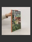 Merian 26 - náhled
