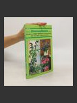 Neues Zimmerpflanzen-Buch - náhled