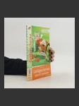 Geldgeschenke liebevoll gestalten - náhled