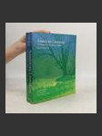 American Literature 1 - náhled