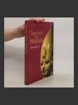 Tagebuch eines Pharaos: Amenophis III. - náhled