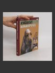 Anglický kokršpaněl - náhled
