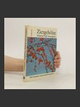 Ziergehölze - blühend und immergrün - náhled