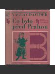 Co bylo před Prahou [Obsah: historická studie z českých dějin - Přemyslovci, raný středověk, Budeč, sv. Václav a Drahomíra] - náhled