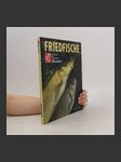 Friedfische - náhled