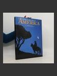 A Day in the life of America - náhled
