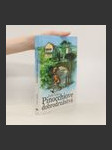 Pinocchiove dobrodružstvá - náhled
