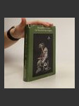 Der Ratschluss des Magiers - náhled