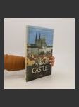 Prague Castle - náhled