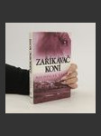 Zaříkávač koní - náhled