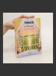 Vinice ve Francii - náhled