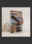 Bigglesova letecká společnost - náhled