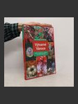 Výtvarné Vánoce - náhled