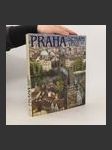 Praha. Setkání věků - náhled
