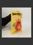 Angry Birds ve filmu : aktivity s omalovánkami - náhled