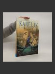 Karel IV. pán světa. Komiksový příběh největšího českého panovníka - náhled