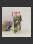 Soukromý ráj - náhled
