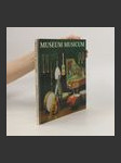 Museum musicum. Historische Musikinstrumente - náhled
