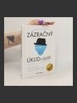 Zázračný úklid v životě. Kouzlo vošéfovanosti - náhled