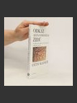 Odkaz alexandrijských Židů - náhled