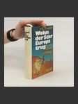 Wohin der Stier Europa trug - náhled