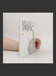 Malý princ - náhled