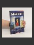 Mozart. His Life In Salzburg - náhled