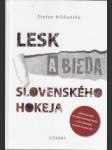 Lesk a bieda slovenského hokeja - náhled