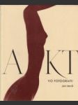 Akt vo fotografii - náhled